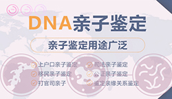 湖北司法亲子鉴定条件和材料(详细地址)