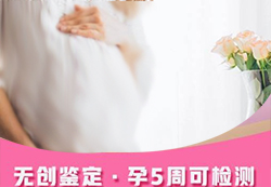 湖北孕期要如何办理亲子鉴定，湖北孕期亲子鉴定服务详解