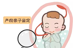 湖北孕期亲子鉴定机构多久可以检测出来
