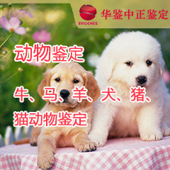 湖北动物鉴定