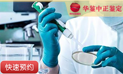 湖北同一父系亲缘鉴定
